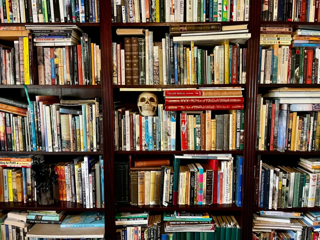 safaribazaarlibrary2 scaled